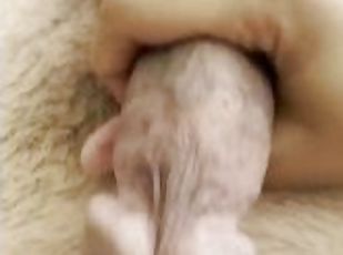 Masturbare (Masturbation), Pula imensa, Arab, Turc, Pov, Solo, Pula