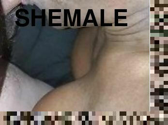 SHEMALE friend sucking cock