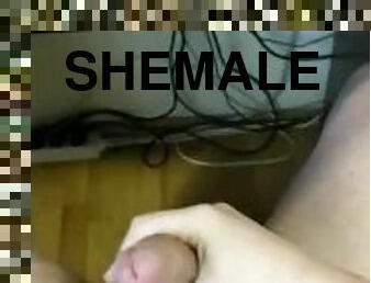 Jerking off and coming on myself to hot shemale (PetiteNicoleTS)