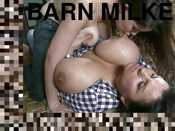 Barn milkers