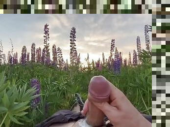 Dick in the field????