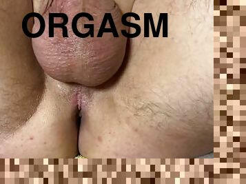 orgasme, anal, cumshot, leke, handjob, massasje, cum, femdom