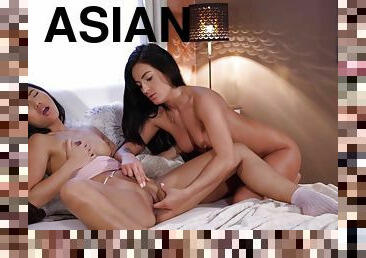 asiatiche, fichette, ragazze-giovani, lesbiche, masturazione-con-dita, tailandesi, ragazza-fidanzata, stanza-da-letto, belle, rapporti-orali