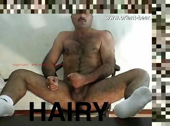 Abbas is a very hairy Turkish bear with a thick mustache and