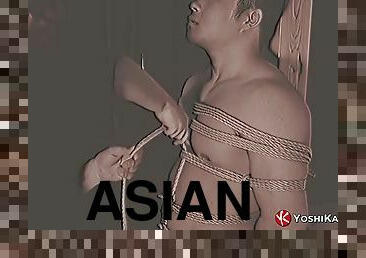 asiatisk, homofil, bdsm, fetisj, bondage, muskuløs