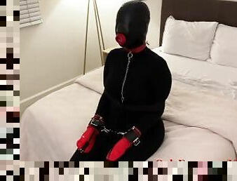 rumpe, store-pupper, amatør, bdsm, slave, fetisj, latex, alene, bondage