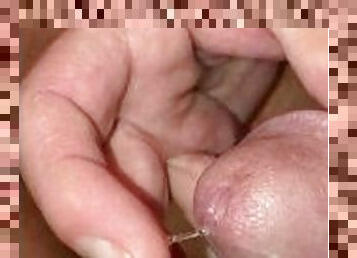 Smeared some precum around my dickhead as I edge and tease myself on the toilet—close up