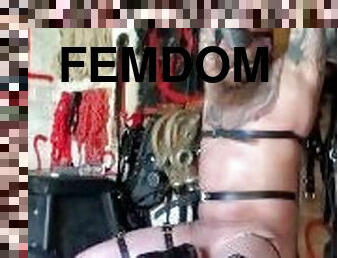 orgasme, homofil, bdsm, slave, cum, maskiner, kveling, bondage, melk, femdom