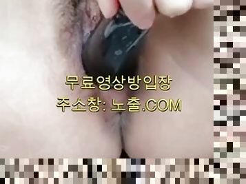 Korea Taste Fountain with Leftover Eggplants BJ