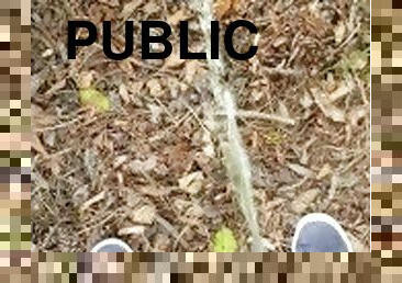 DESPERATE Piss In Public ????????