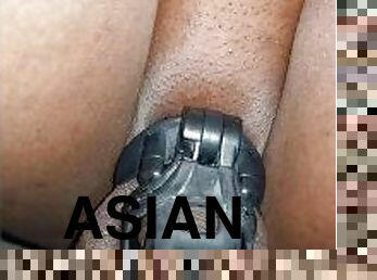 asiatisk, pissing, anal, ebony, svart, strand, ladyboy, thai, søt, femdom