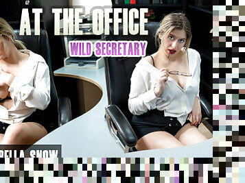 At the Office - Wild Secretary