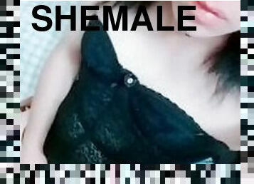 sexy shemale