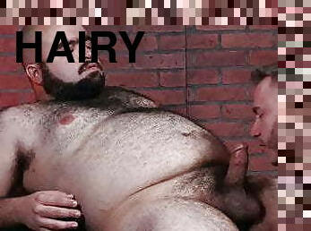 Hairy beardy gay fat fuck rammed in the ass