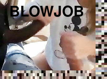 blowjob, amerikansk, pikk, suging