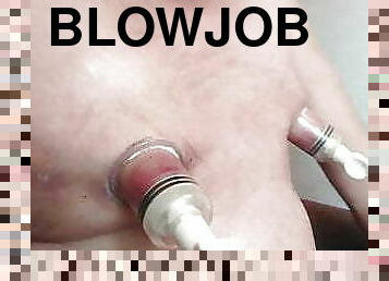 blowjob, homofil