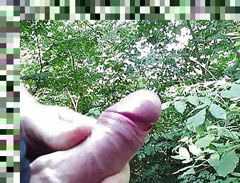 Cum in park