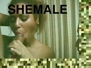 shemale