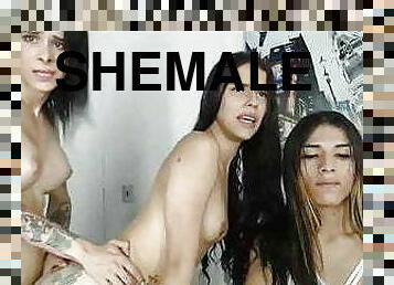 onani, shemale, amatør, anal, blowjob, transeksuell, gangbang, par, trekant