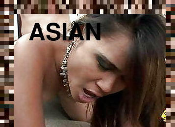 69 Action And Banging The Hot Asian Babe Nipsy Doll
