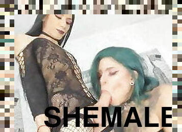 shemale, amatør, blowjob, stor-pikk, transeksuell, kåt, webkamera, vill