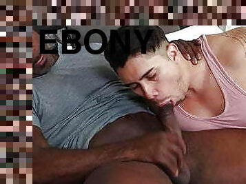 papa, poilue, fellation, ébène, énorme-bite, interracial, gay, branlette, black, couple