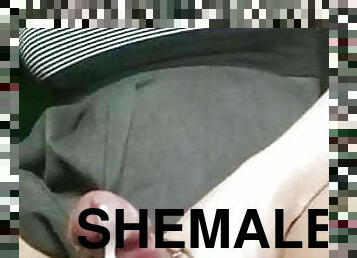 Horny Shemale 130