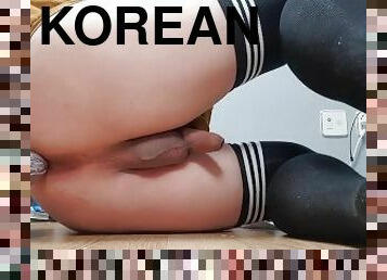 Sweet Korean Femboy Bussy (Mr.Hankey's Toys Cyrus King)