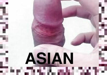 asiatiche, enormi, pubblici, amatoriali, eruzioni-di-sperma, gay, seghe, pov, sperma, solitari