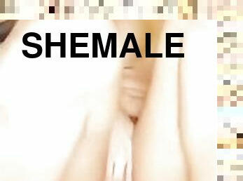 Horny Shemale