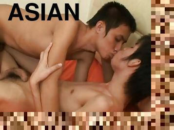 asiatiche, pecorina, urina, rapporti-anali, gay, culo, twink