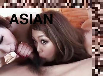 The perfect asian teeny double blowjob