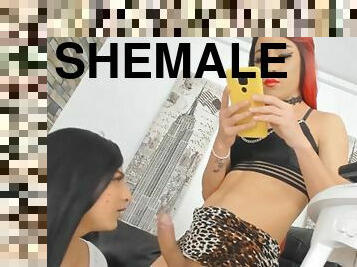 Shemale Suck Her Tranny Friend Cock