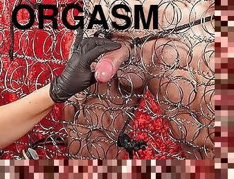 orgasme, handjob-seks-dengan-tangan-wanita-pada-penis-laki-laki, bdsm-seks-kasar-dan-agresif, budak, susu, liburan-musim-spring, dominasi, dominasi-perempuan-dalam-sex, pukulan-di-pantat, kasar