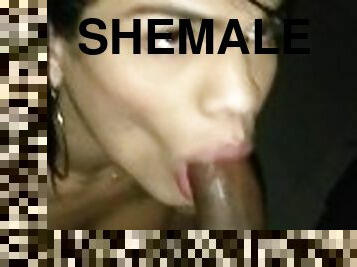 Shemale sucking black cock deep throat