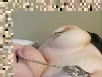 Nipple Clamps (with chain in mouth)