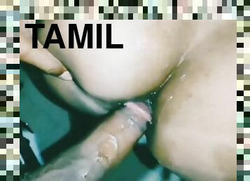 Tamil Husband And Wife Painful Anal Sex Video