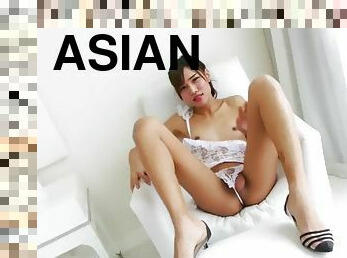 Asian ladyboy jerks dick