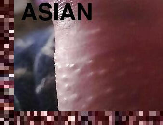 asiatic, tatic, masturbare-masturbation, batran, in-afara, amatori, anal, muie, pula-imensa, adolescenta