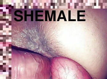 shemale, amatør, anal, tenåring, par, knulling-fucking, dildo, meksikansk, alene