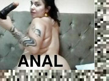 amcık-pussy, anal, web-kamerası, sevimli