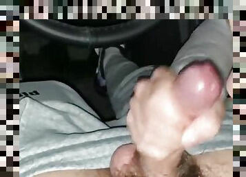 Teen guy sucked a taxi driver for the trip