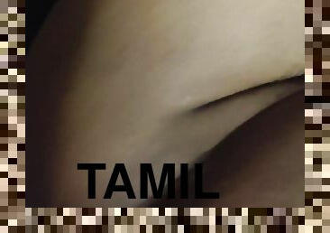 Tamil Aunty Madurai Hotel