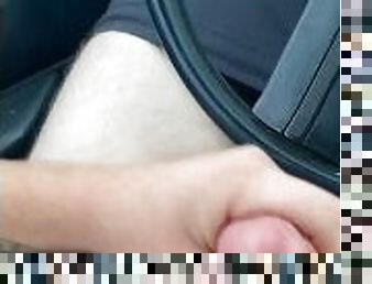 Chub jerking in car