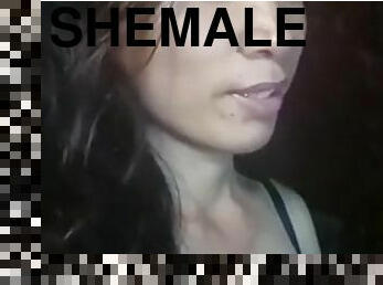 shemale