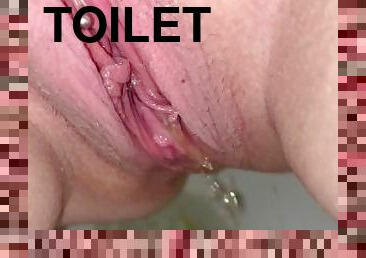You wish you were the toilet I piss in