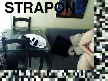 I put the strapon on my teddy bear and I suck the cock thinking about your penis and I caress my pus